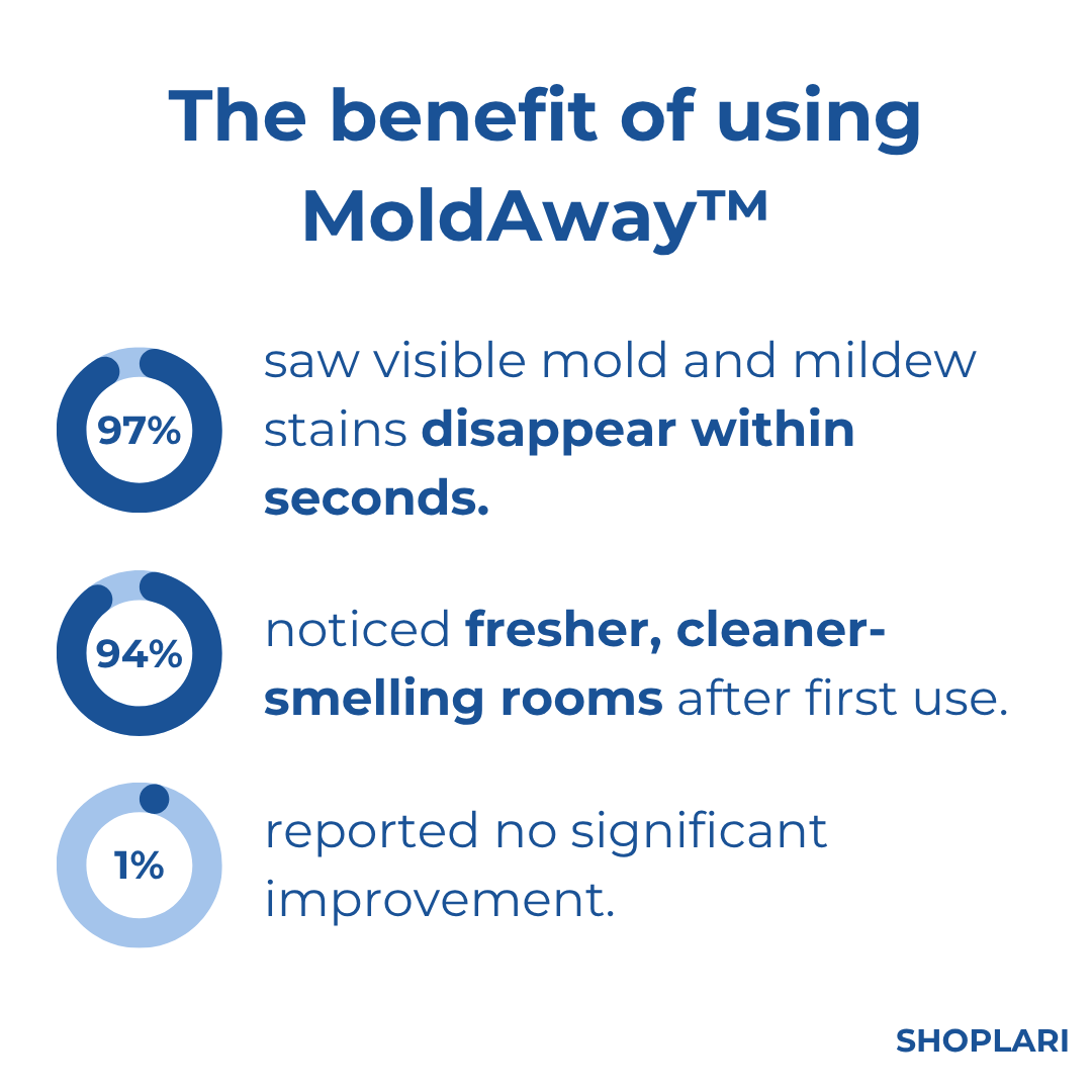 Last Day 50% OFF | MoldAway™ Mold Remover Spray – Elmora & Co.